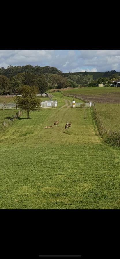 Lochinvar House Oswald Bagian luar foto